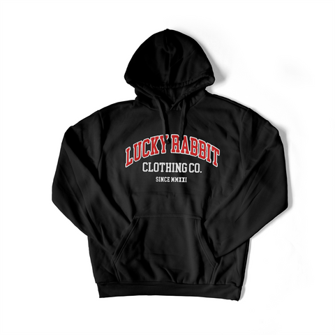 Collegiate Embroidered Hoodie